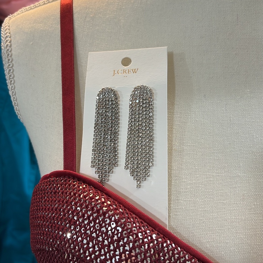 NWT bundle bodycon dress and earrings - Picture 3 of 6